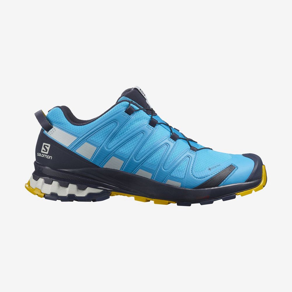 Salomon Singapore Mens Hiking Shoes - XA PRO 3D V8 GORE-TEX Blue | 27591-UZWB